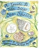 A Guide to San Diego Sea Shells