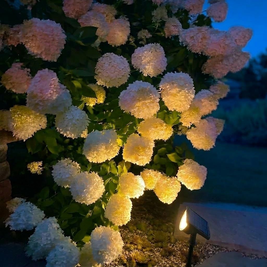 Solar Lights Outdoor Waterproof IP65, Solar Powered 76 LED 3 Lighting Modes Solar Spot Lights Outdoor for Yard Garden Landscape Pathway (Warm White, 6 Pack)