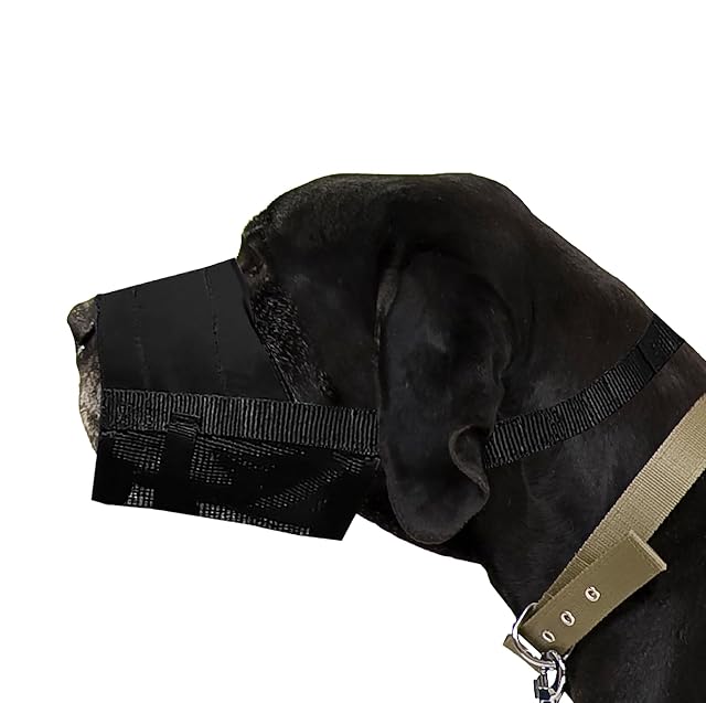 Dingo Bozal de Nylon Suave con Malla Transpirable para Razas Medianas y Grandes, Rottweiler Macho, Gran Danés