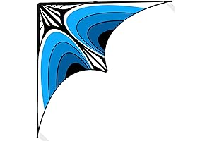 Delta Kite for Beginners Boys Ages 8-12