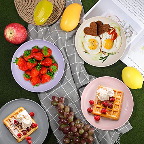 8 Pieces Wheat Straw Deep Dinner Plates Reusable Lightweight Straw Plates Dishwasher And Microwave Safe Dinner Plates Unbreakable Sturdy Dessert Plates For Toddlers Kids Adults (8 Inch) #TOP4