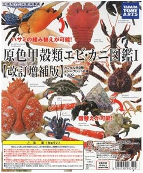 61cPNGgWiLL._AC_UF350, 61cPNGgWiLL._AC_UF350,