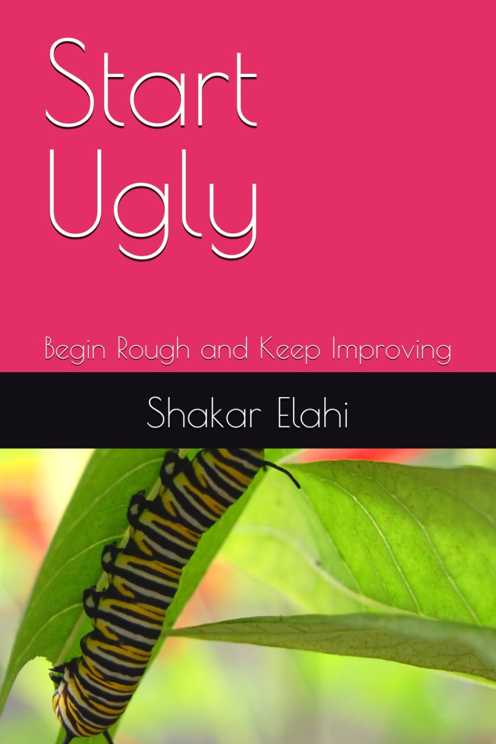 Start Ugly: Begin Rough and Keep Improving (THE INSTITUTIONAL CYCLE)