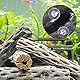 Aquarium Saugnäpfe Mit Kabelbinder,Transparent Aquarium Saugnapf Halter,Schlauchhalter,Aquarium Werkzeuge,20 Saughaken Mit Bohrung,20 Verstellbaren Reißverschlüssen,Für Aquarium Bindung Holding