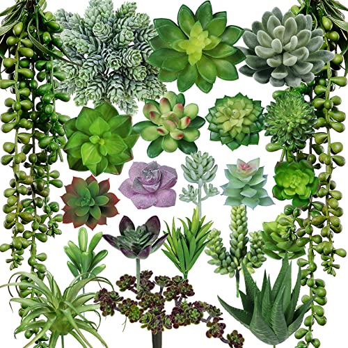 Winlyn 22 Pcs Bulk Artificial Succulents Plants Unpotted Small Aloe Hanging String of Pearls Cactus Green Fake Succulents for Succulent Garden Arrangement Centerpiece Wall Indoor Outdoor Home Decor