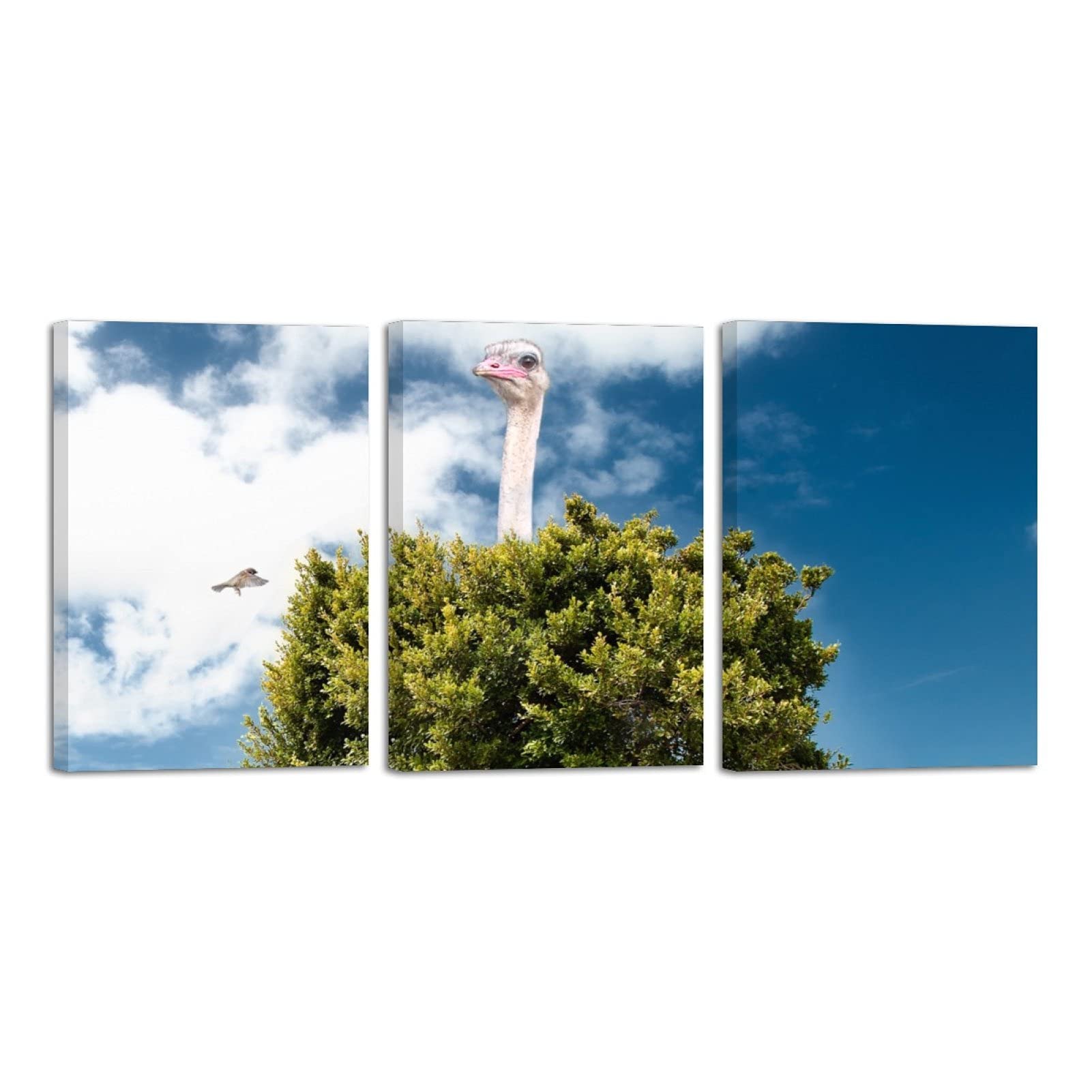 Impression sur toile autruche premium triptyque pour maison - 6