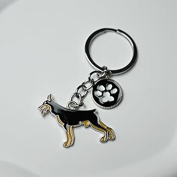 Amazon.co.jp: JUPRES ペットキーチェーン、犬のIDタグ