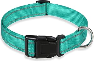 Reflective Collar: Teal Turquoise Nylon Collar for Dog Safety