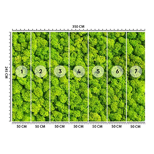 Feeby Carta da Parati Struttura Imitazione 350x245...