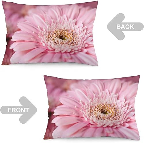Miniatura 4 de Funda de almohada lumbar rosa con margaritas para exteriores, de 16 x 24 pulgadas, a la moda, con cremallera, diseño de impresión de doble cara para