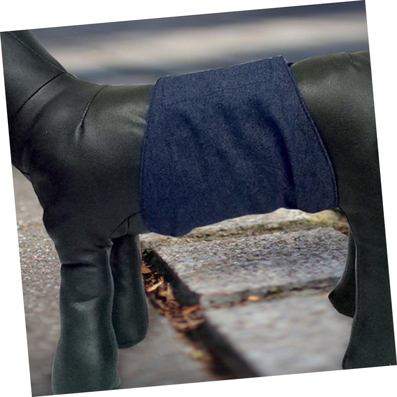 Abaodam 1PC Male Dog Sanitary Underwear Belly Wrap Band S Transparent Breathable Comfortable Design for Daily Wear Home from Stains and Odors