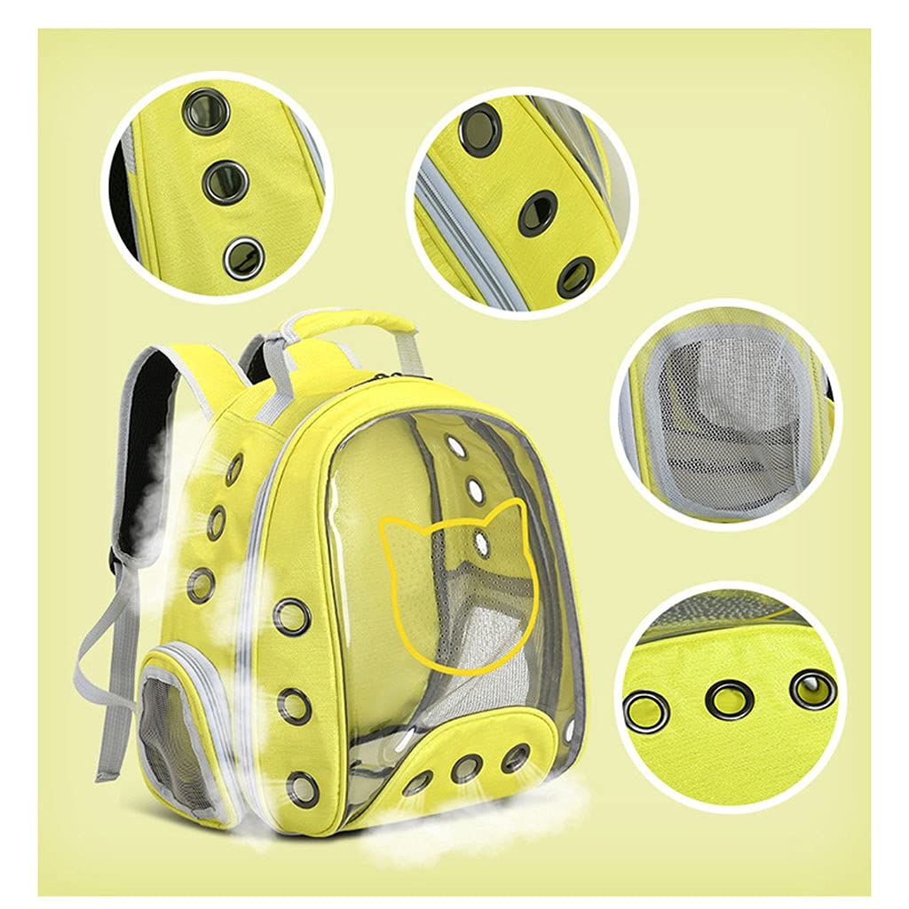 best dog travel bag for supplies