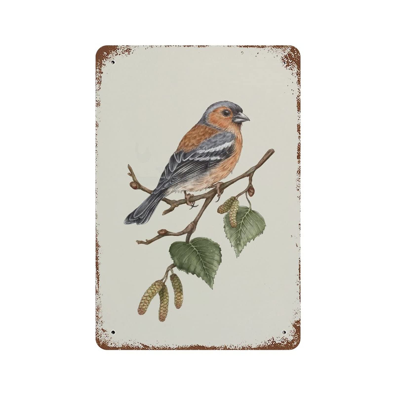 Pibonto Women's Wall Art Chaffinch Bird On Birch Vintage Metal Plaque Sign Retro Poster Vintage Metal Tin Signs For Men Garden Wall Decor For Home Bathroom Man Cave Cafe Garage Wall Sign 8X5.5 Inch
