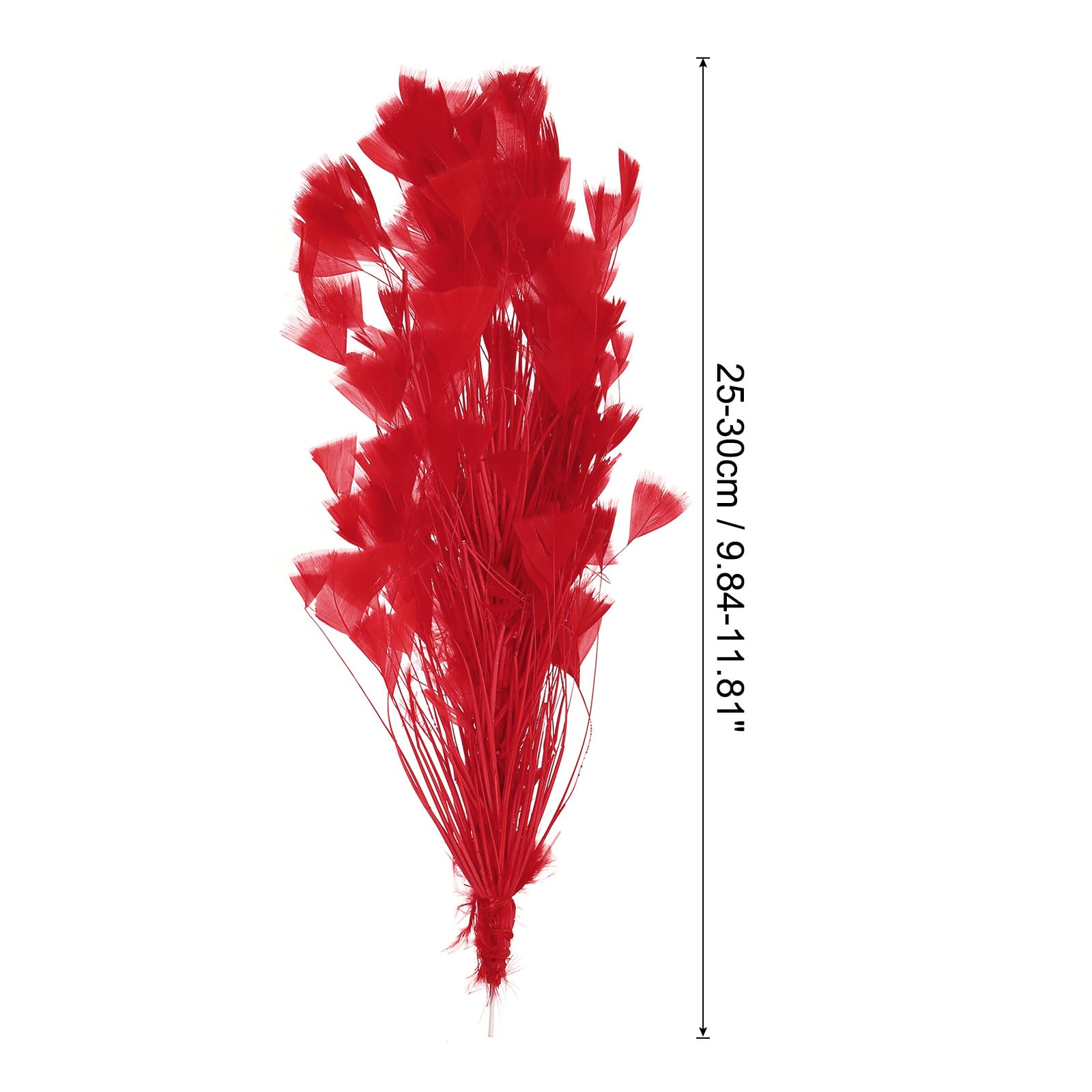 PATIKIL 10-12 Inch Turkey Feathers - Image 2