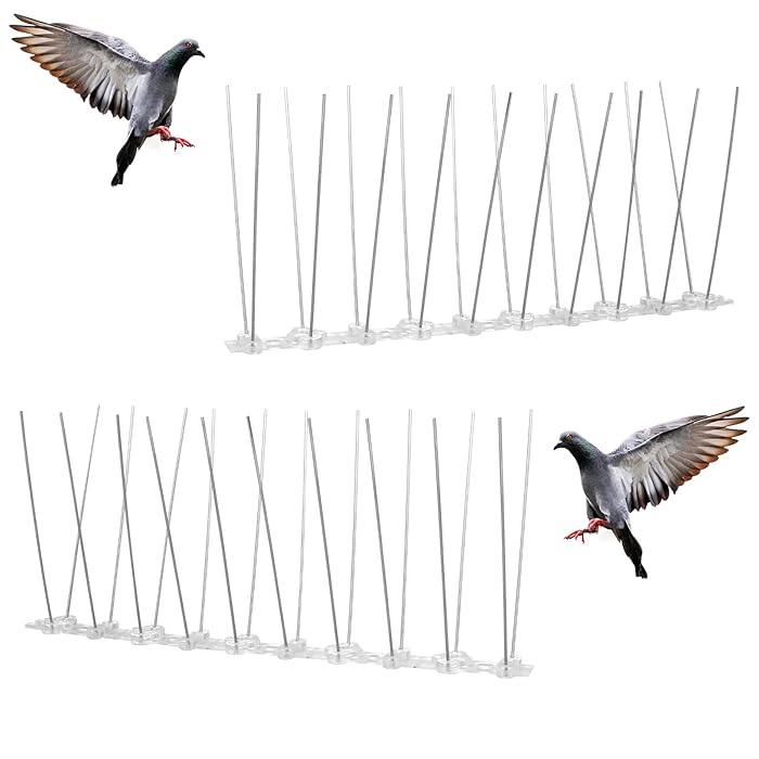 Buy ASTER Bird Spikes for Repellent Pigeons and Small Birds, Stainless