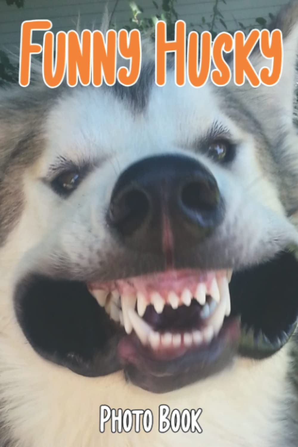 Funny Husky Photo Book: Humorous Doggy Colorful Pictures For All Ages To Have Fun And Relax | Gift Idea For Animal Lovers