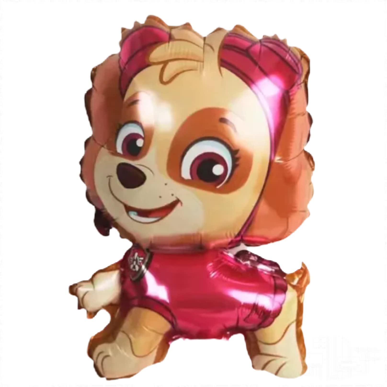 Paw Patrol Birthday Supplies Girl