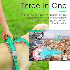   ThinkPet-No-Pull-Harness-for-Small-Medium-Large-Dogs-with-Airtags-Holder-Reflective-Dog-Harnesses-with-Dog-QR-Code-Smart-ID-Tag-Airtags-Holder-Harness-BackFront-Clip-for-Easy-Control-Teal-S