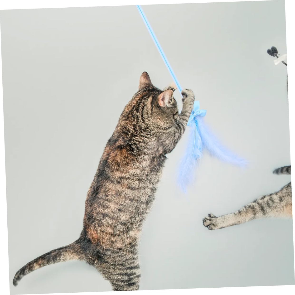 FRCOLOR 9stücke Teiliges Katzeninteraktives Spielzeugset Mit Federn Und Glöckchen Hängendes Katzenspielzeug Für Aktiven Spielspaß Und Gesunde Bewegung Und Ansprechend Für Ihre Katze