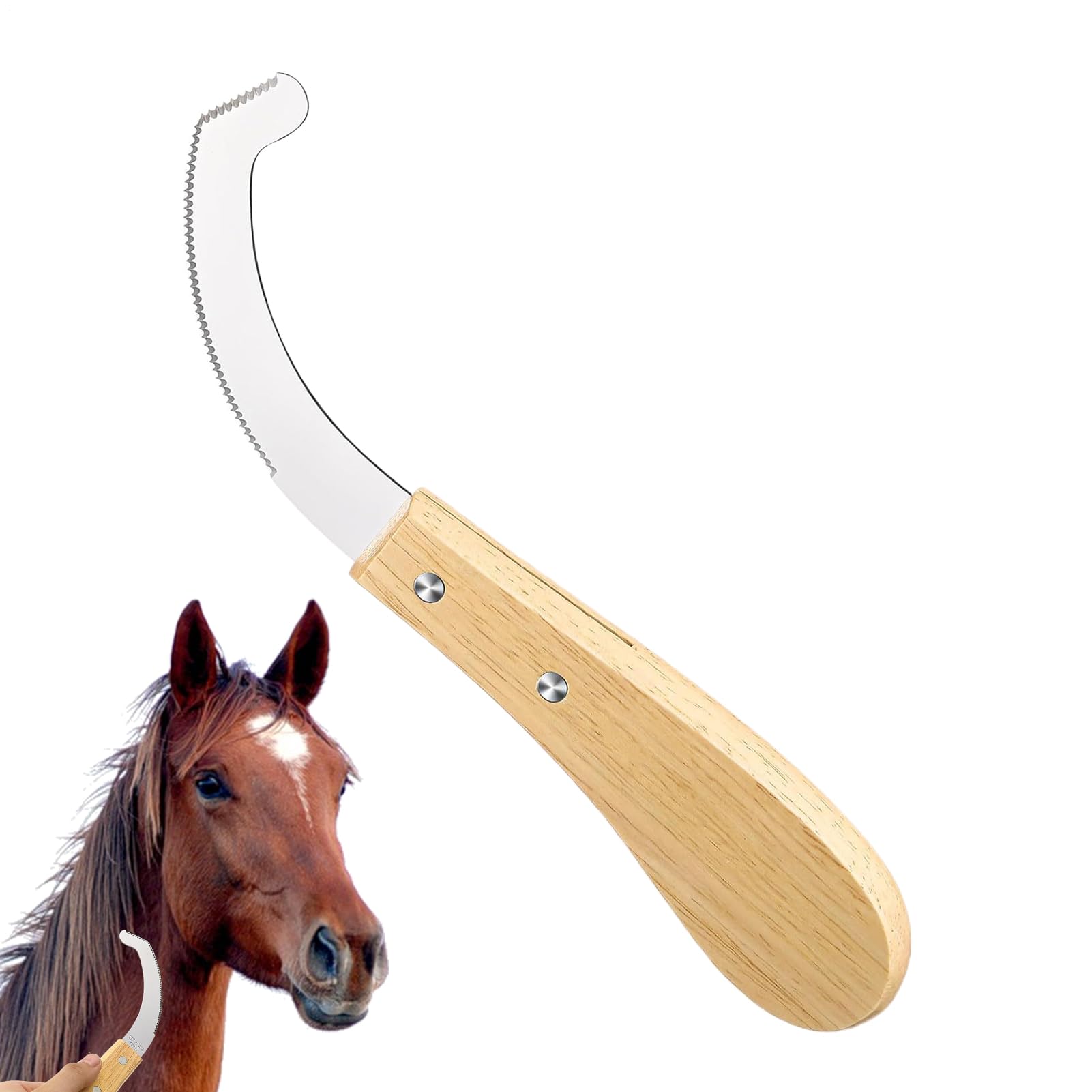 Bot Egg for Horses - Professional for Removal of Fly Eggs, Care Tool for Blacksmiths and Riders, Practical for Horse Enthusiasts, Caregivers, Pet Owners, Stable Keepers
