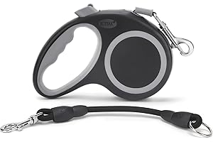 Retractable Dog Leash for Safe Walks