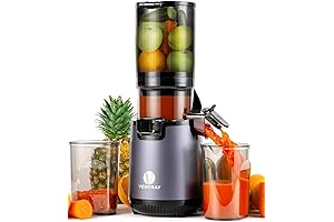 Ventray Vegetable Juicer | Enzymes Preserved | Nutrients Maximized | Masticating Cold...