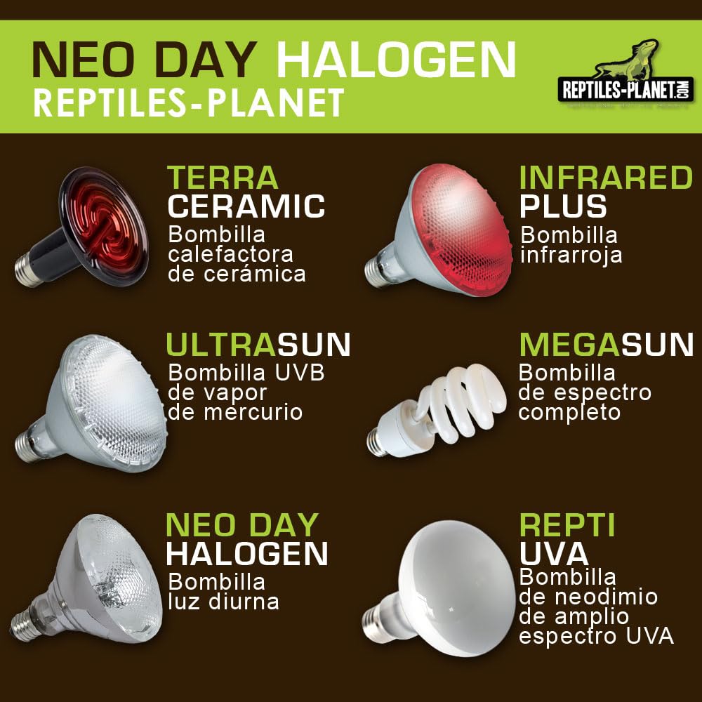 Reptiles Planet Neo Day Halogen - Bombilla térmica para Terrario (35 W, Color Blanco