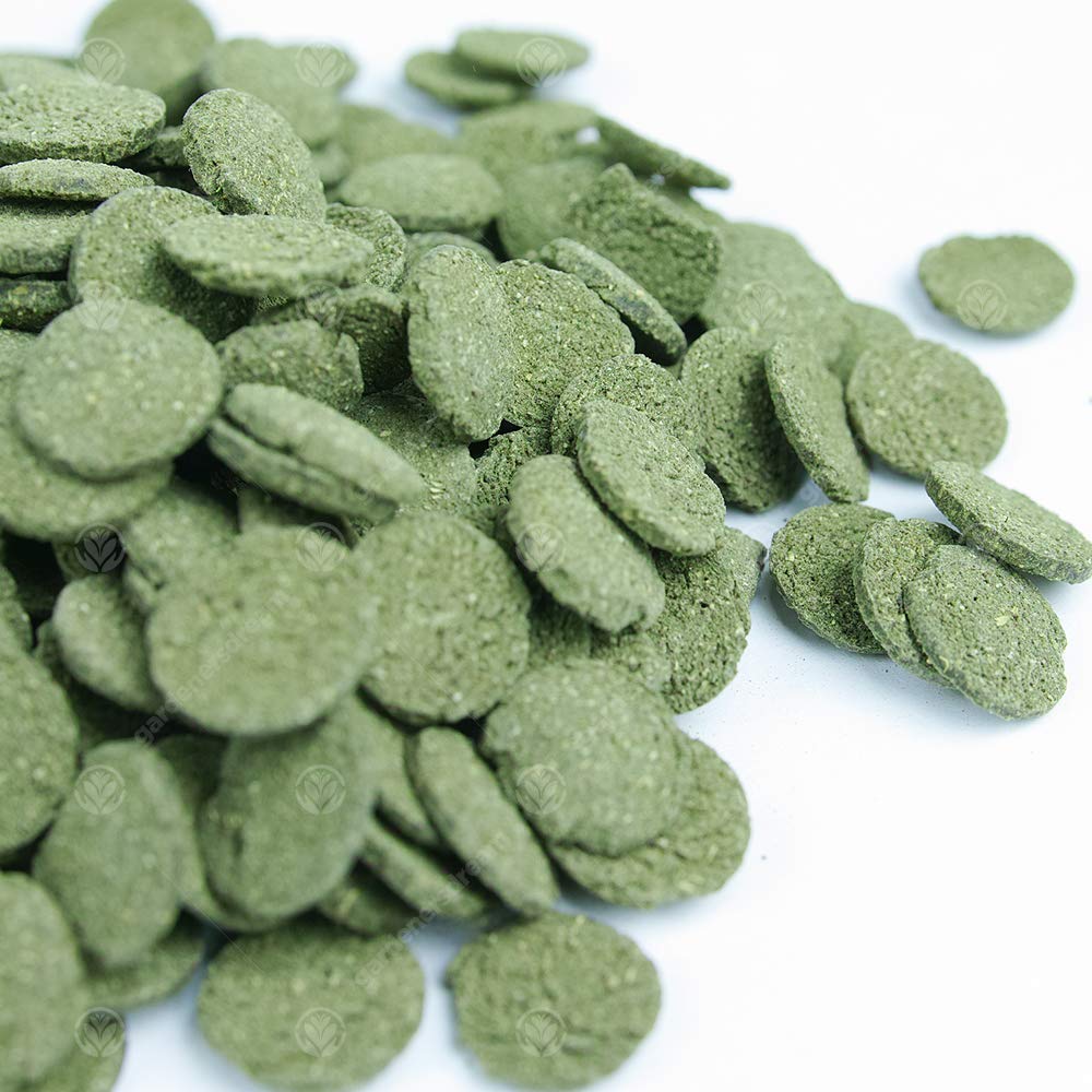 GardenersDream Premium Spirulina Algae Wafers Cibo Completo per Pesci d'Acquario