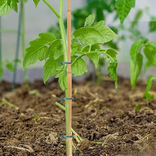 Miniatura 4 de 20 estacas de bambú natural de 18 pulgadas para plantas de interior, postes de bambú para plantas en maceta, tomate, frijoles