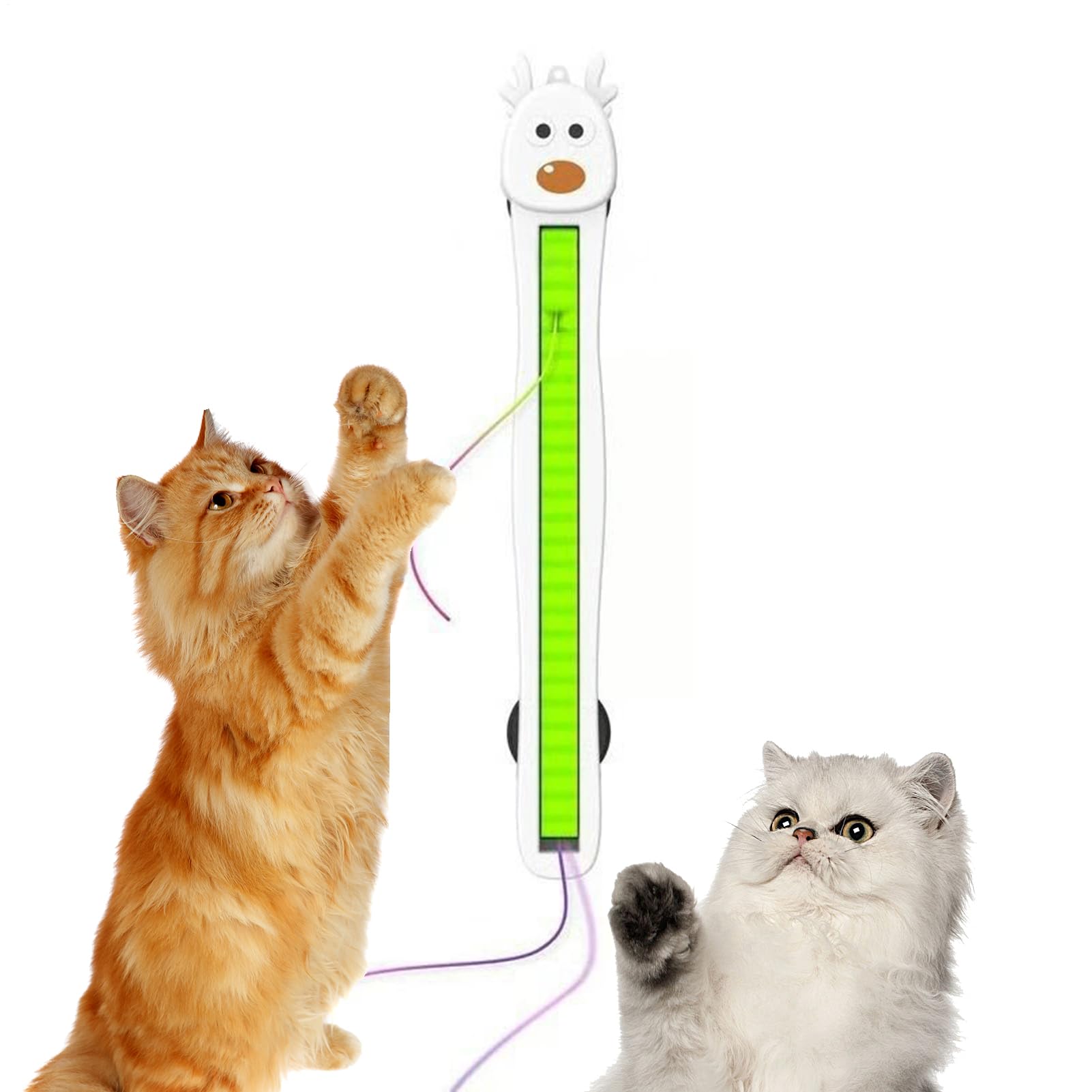 Jouet automatique pour chat - Corde volante d'entraînement murale - rechargeables pour enrichir le chat - Coin, appartement, aire de jeu, maison, cuisine, chambre