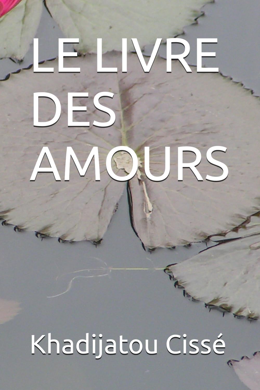 LE LIVRE DES AMOURS