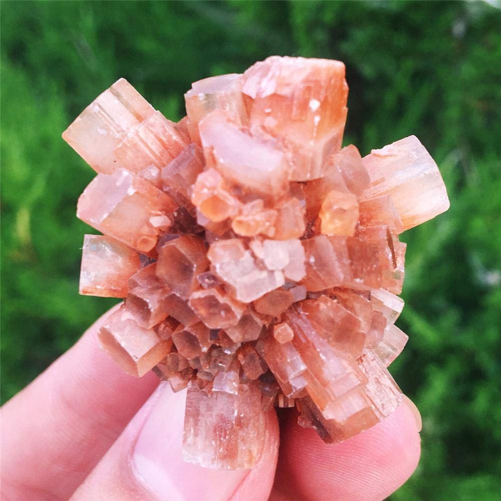 PAKMEZ Cluster di Cristalli Naturali di Aragonite Cristalli Naturali e Grezzi Irregolari -