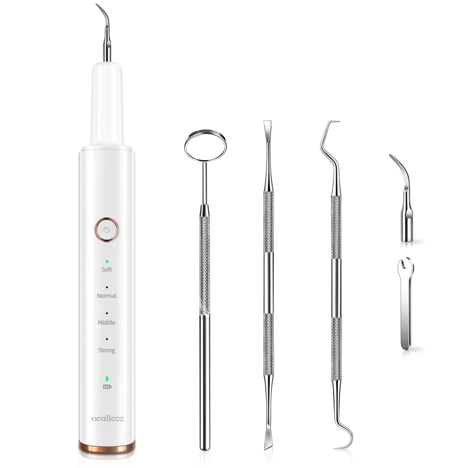 Plaque Remover for Teeth, Electric Tooth Cleaner Tartar Remover for Teeth with LED Light,4 Modes Rechargeable Teeth Cleaning Kit with Dental Tools, 2 Replaceable Heads (White A)-picture-11