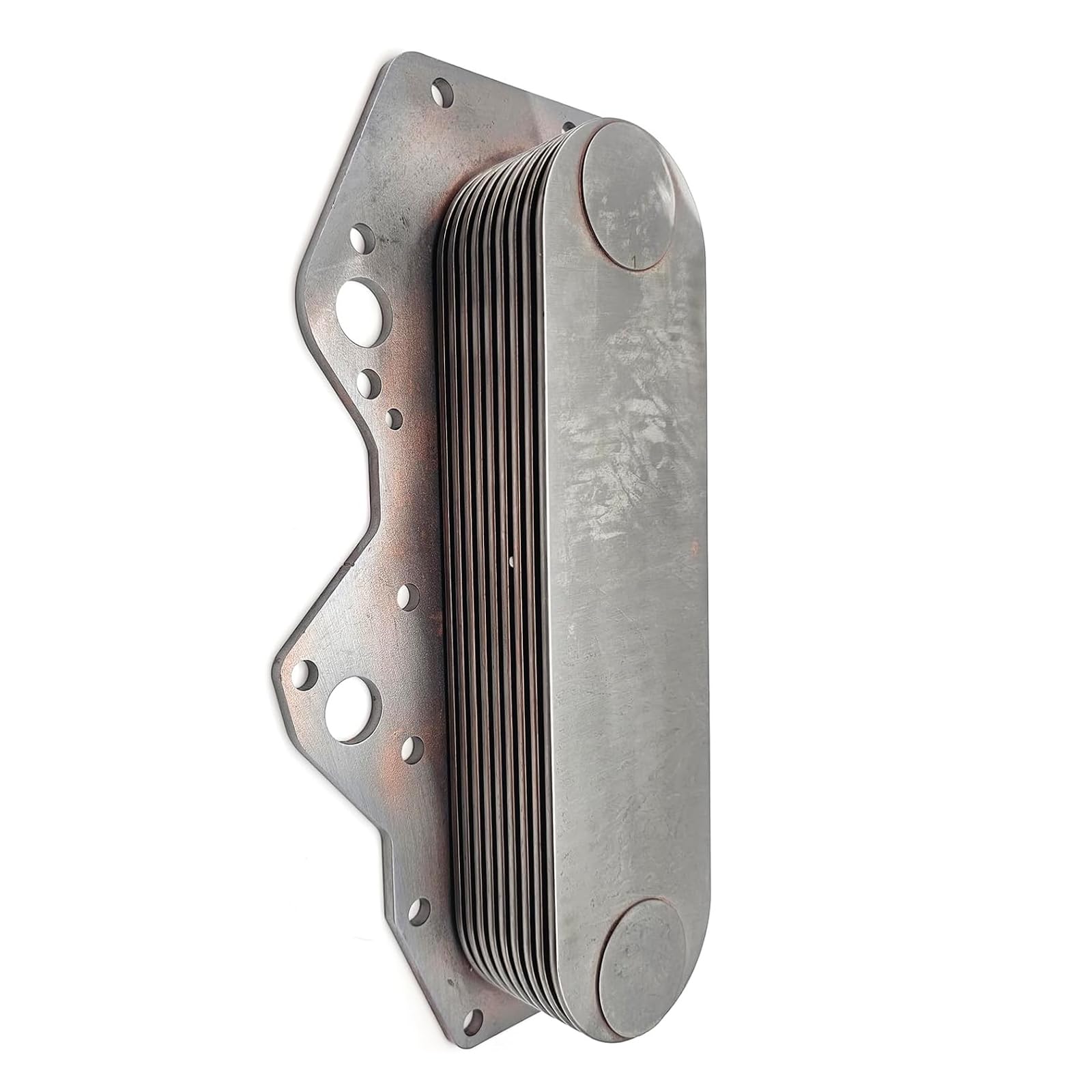 山採りアブラツツジ　油7 H120cm W100cm G31-001.png