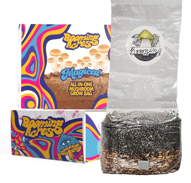 The Micro Magical 3lb All in One Mushroom Grow Bag | Mushroom Grow Kit | Harvest Your own Happiness | Discover The Magic of Growing Mushrooms - 3lb Grow Bag Mushroom Starter Kit