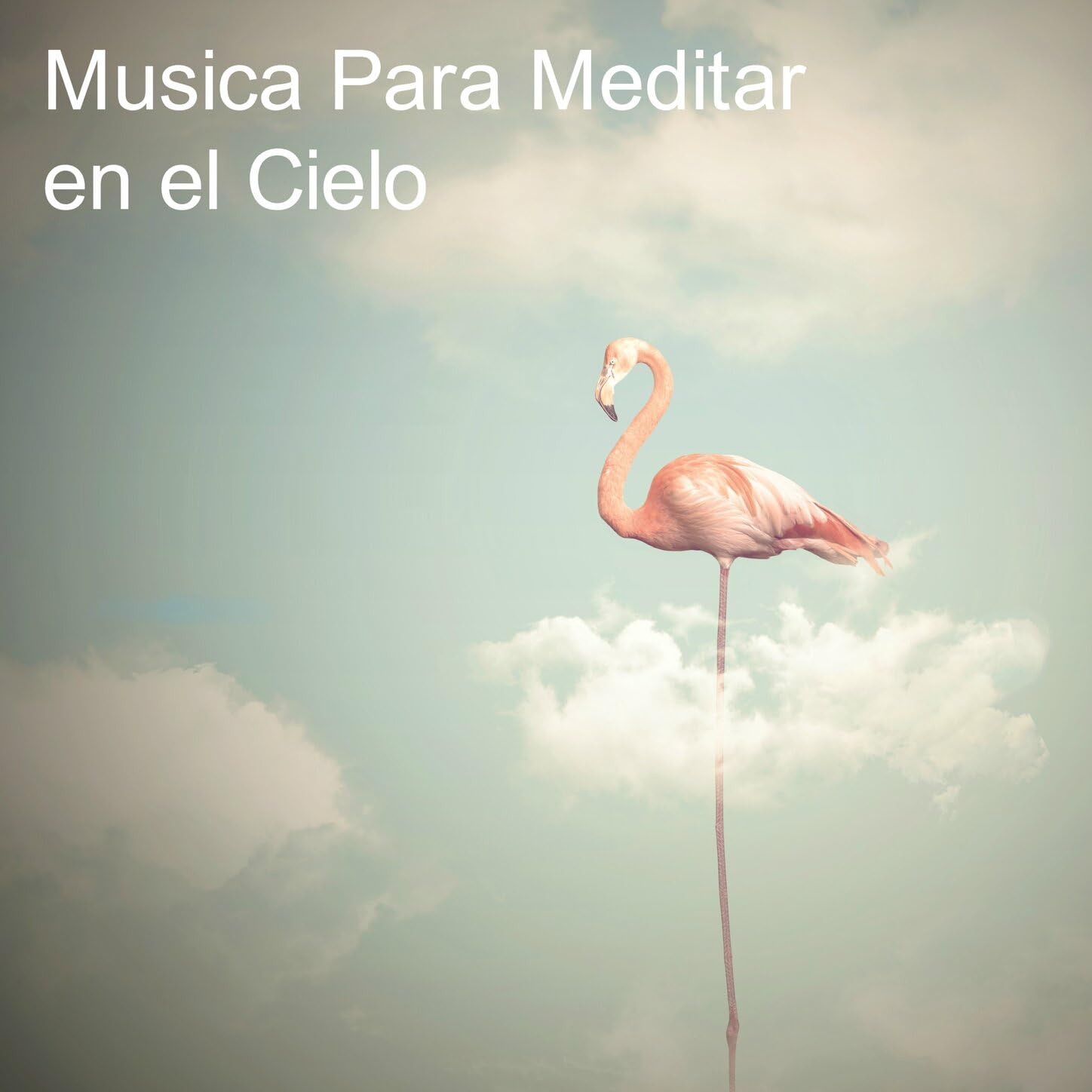 MeditaciÃ³n Interna