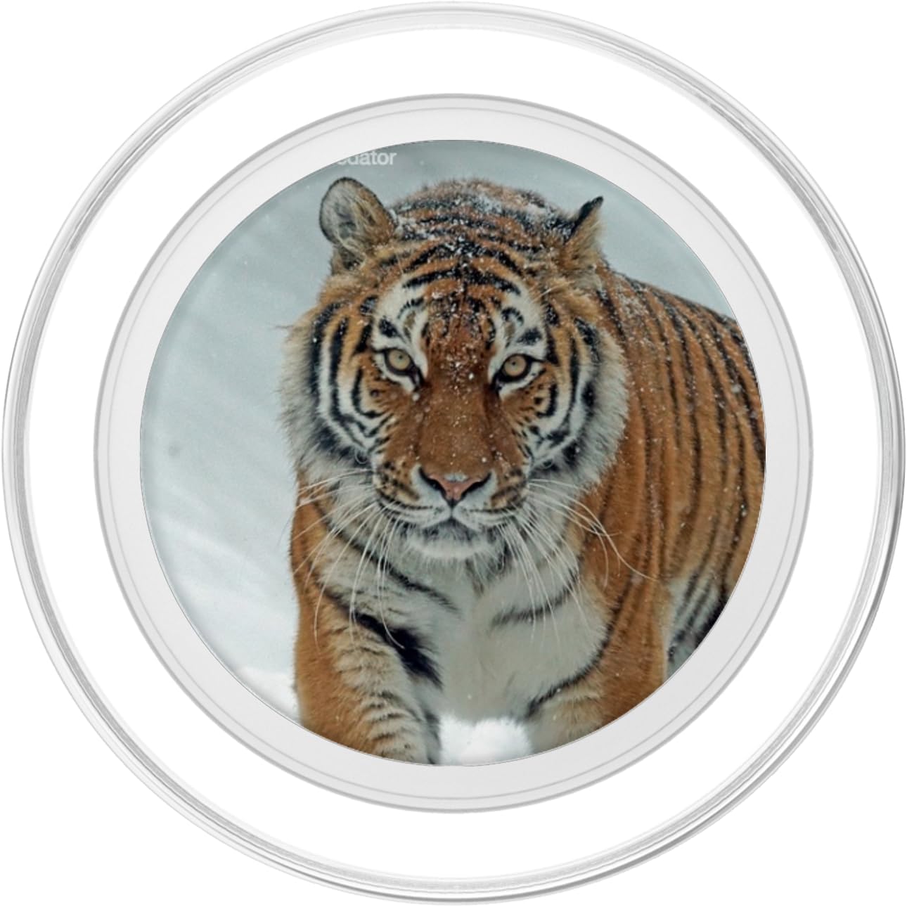 Amurtiger Tiger Big Cat Siberian Animal PopSockets PopGrip: Swappable Grip for Phones & Tablets PopSockets MagSafe PopGrip for iPhone