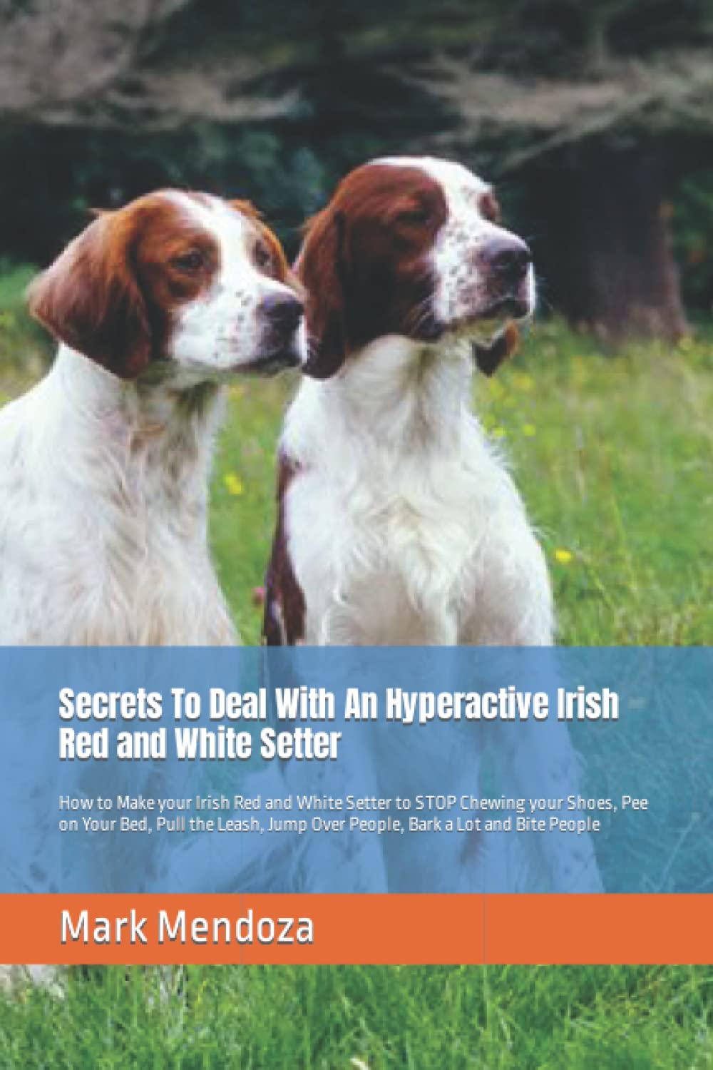 Secrets To Deal With An Hyperactive Irish Red and White Setter: How to Make your Irish Red and White Setter to STOP Chewing your Shoes, Pee on Your ... Jump Over People, Bark a Lot and Bite People