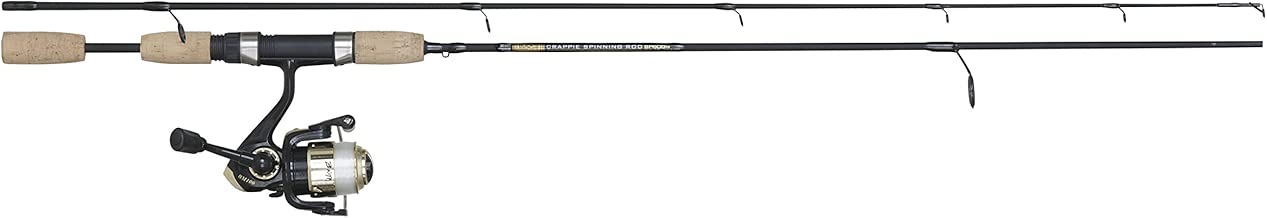 b&m fish pole reel combo