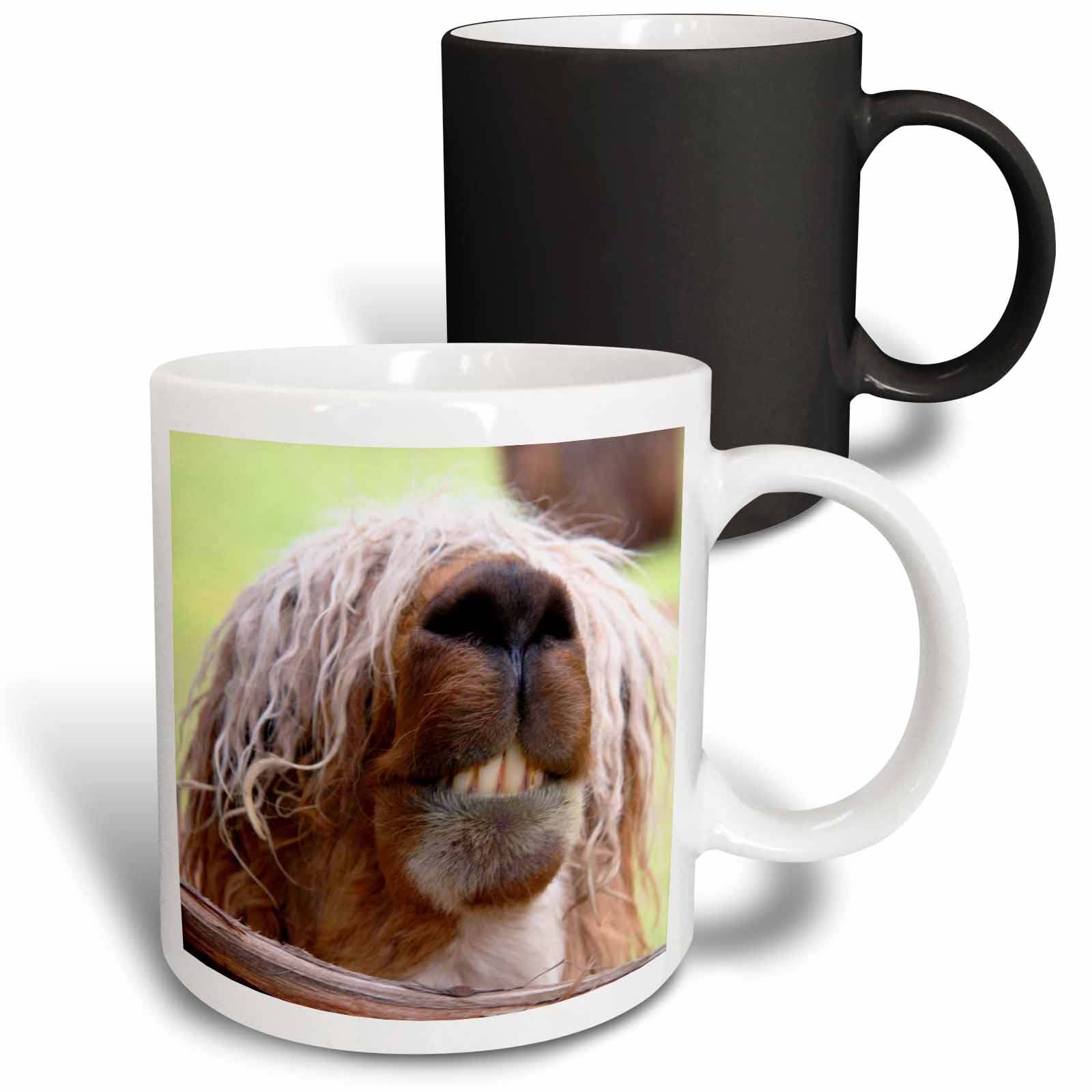 3dRose Coffee Mug, Size - 11oz - Peru. Suri Alpaca wildlife, Awana Kancha - SA17 KWI0101 - Kymri Wilt Wildlife - funny coffee cup gift