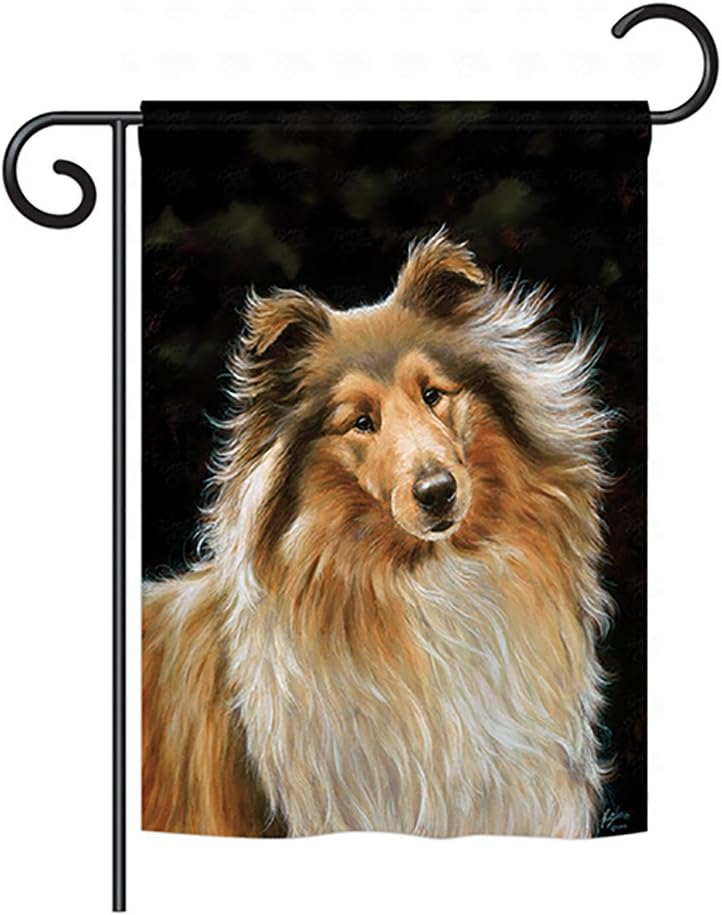 Breeze Decor PT-G-110075-IP Collie Nature Everyday Pets Impressions Decorative Vertical Garden Flag, 13"x 18.5", Multicolor
