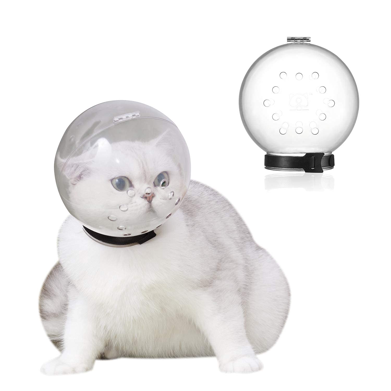 MAKINGTEC Cat Adjustable Hood, Breathable Cat Helmet, Anti Bite Clear Muzzles for Kitten, Safety Prevent for Small Pets Grooming (Size L for cat Neck Circumference 9-10.6")