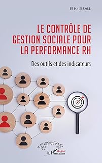 Le contrôle de gestion sociale pour la performance RH: Des outils et des indicateurs