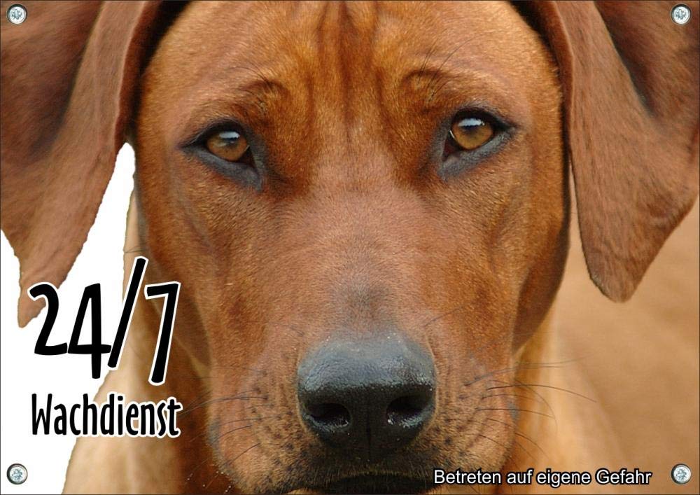 Hundeschild - mit Rhodesian Ridgeback RR - uv-beständiges Warnschild 24/7, DIN A3