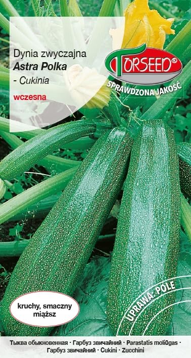 Cukinia astra nasiona Torseed nasiona z Torunia