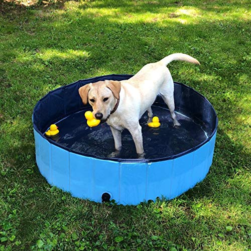 Decorlife Hard Plastic Pool For Dogs thumb #7