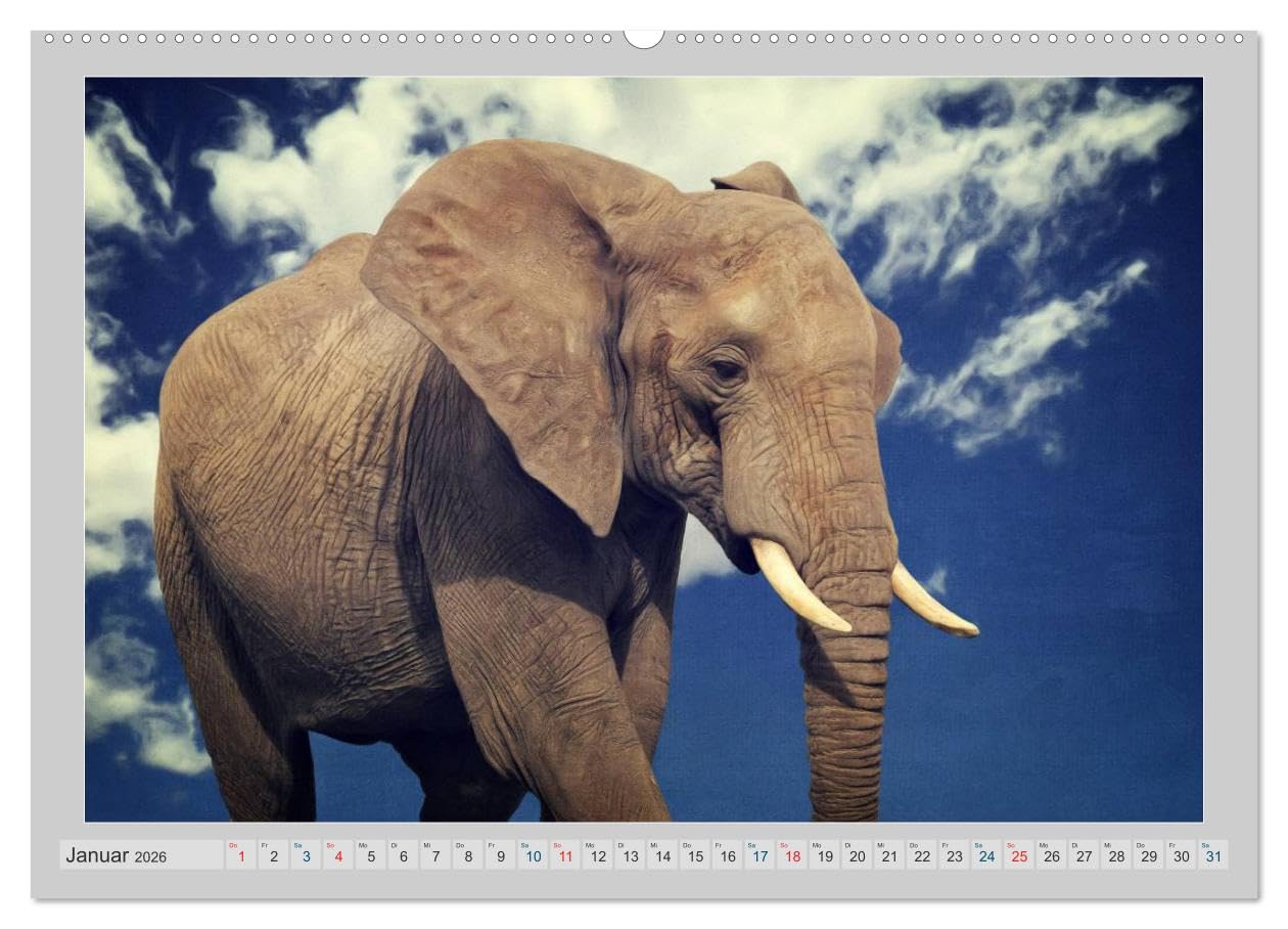 Elefanten - Portraits der besonderen Art (Wandkalender 2026 DIN A2 quer), CALVENDO Monatskalender: Wunderbare Portraits der grauen Riesen - digital gemalt. (CALVENDO Tiere)