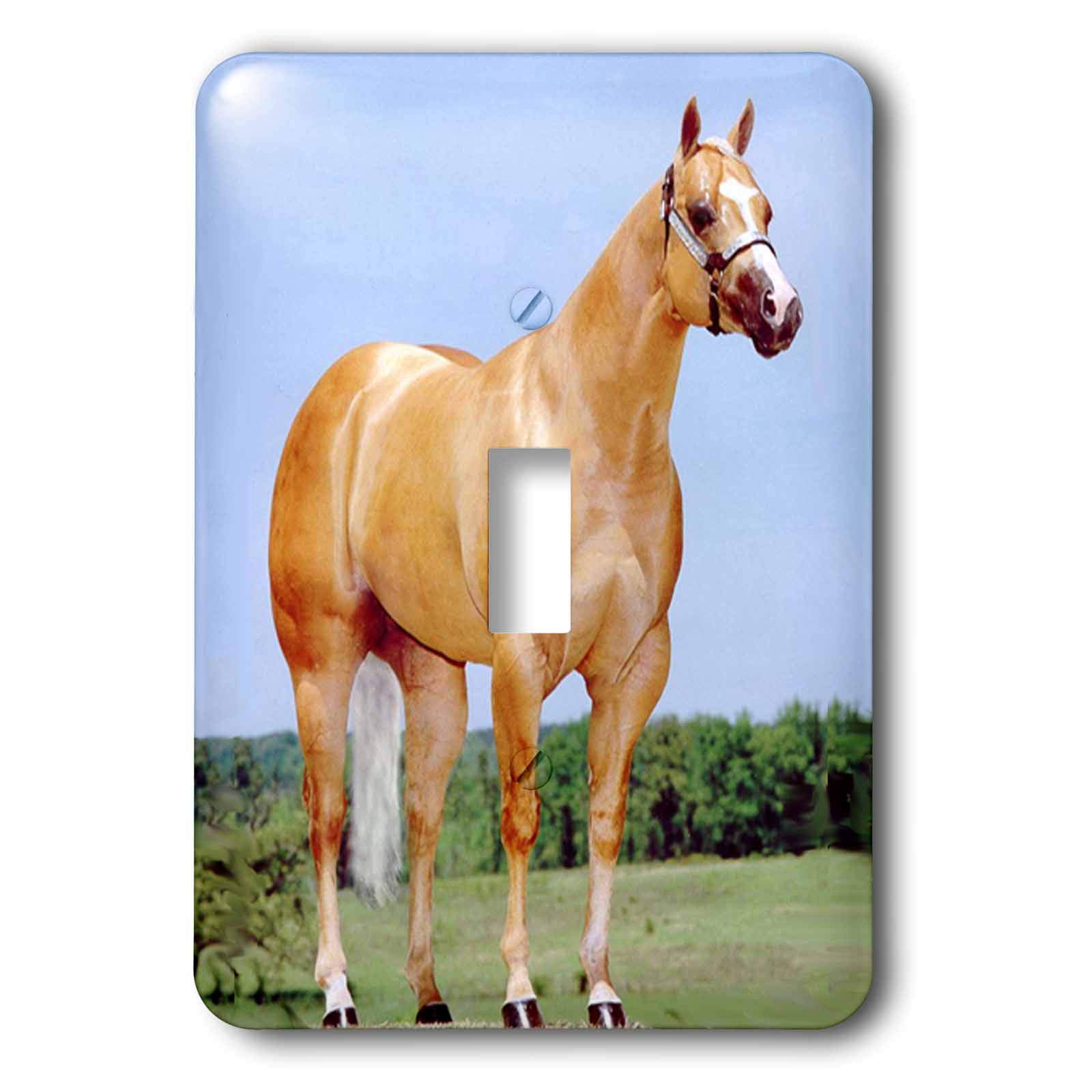 Interrupteur à bascule quart de cheval Palomino 3dRose LSP_673_1 pour rénovation de chambre