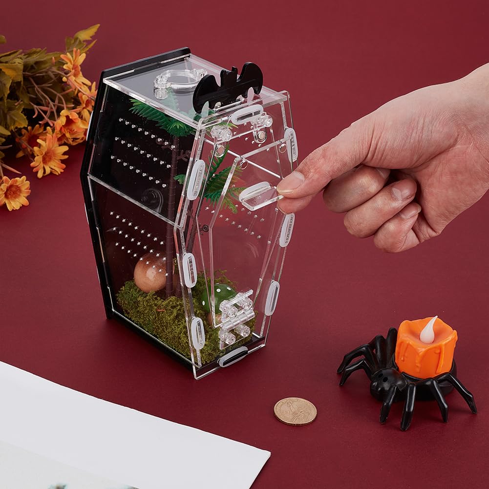 AHANDMAKER Springspinne Gehäuse, Gotischer Sargförmiger Insekten Terrarium mit Fütterung Löchern Klar Acryl Reptil Lebensraum für Tarantula Mantis Käfer