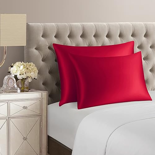 Vista 138 de DISANGNI Funda de almohada de seda de morera 100% natural para cabello y piel con cremallera oculta, 22 momme ambos lados